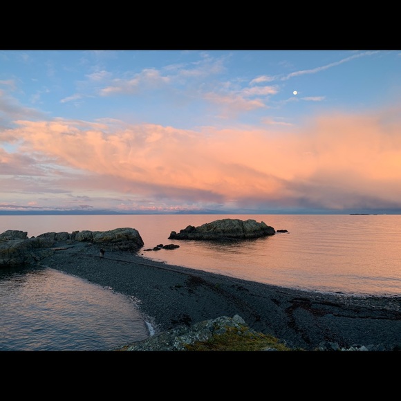 Meet your Posher, Zahra - Picture 1 of 1